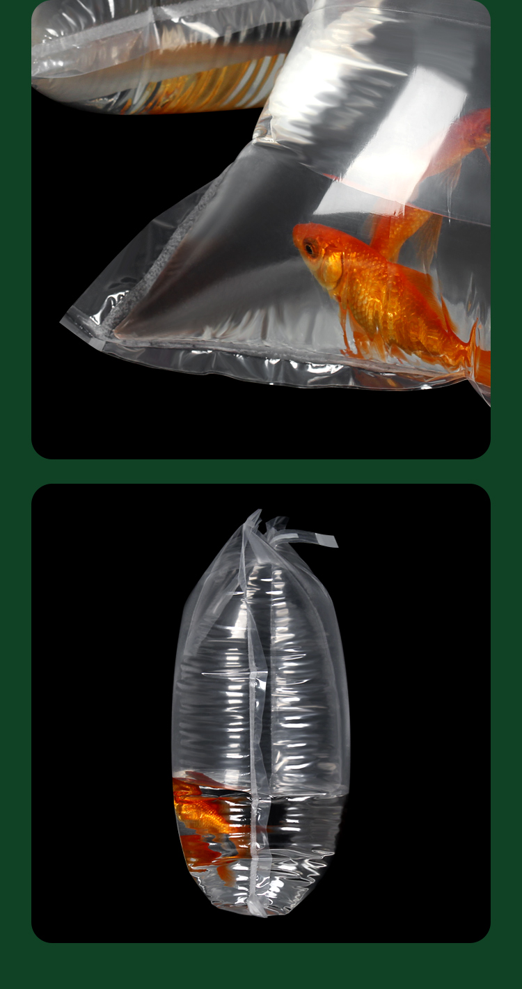 金魚活魚充氧運輸袋