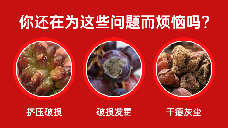 限位袋中袋 易碎品 葡萄保護(hù)包裝