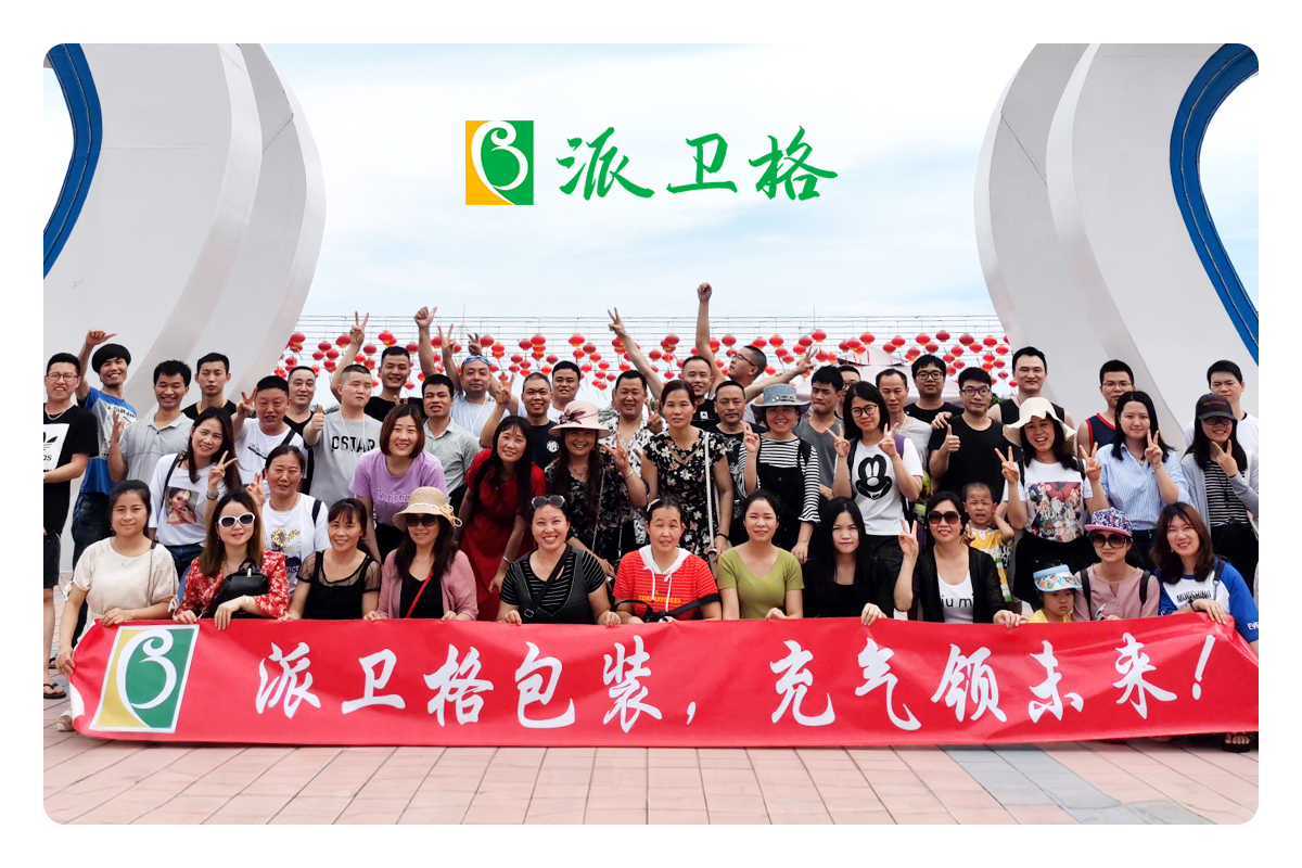 派衛(wèi)格團(tuán)隊風(fēng)采